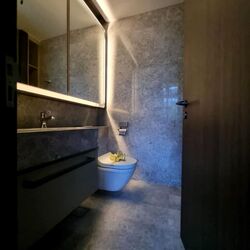 Van Holland (D10), Condominium #511294921